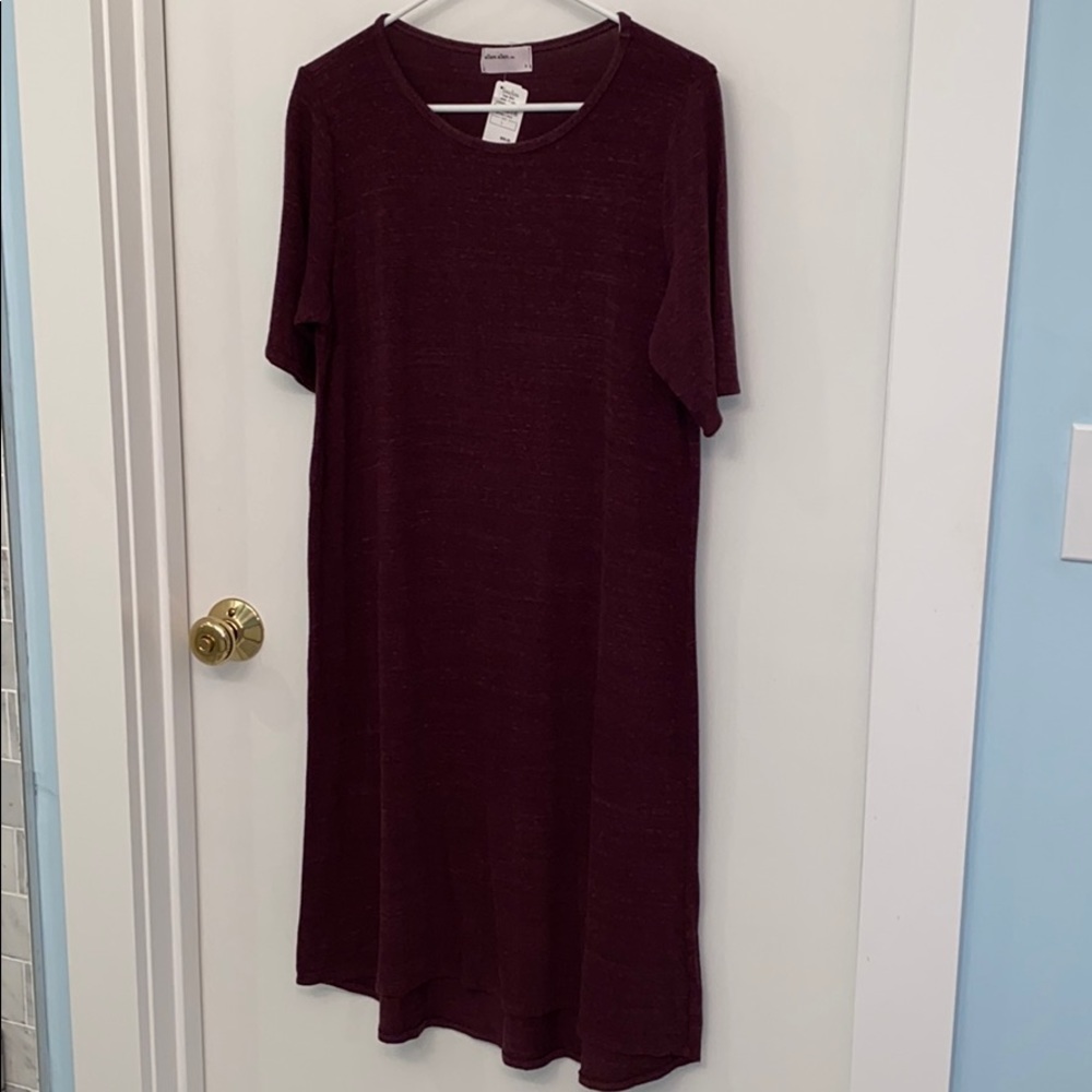 Allen Allen burgundy T-shirt dress. Never worn.